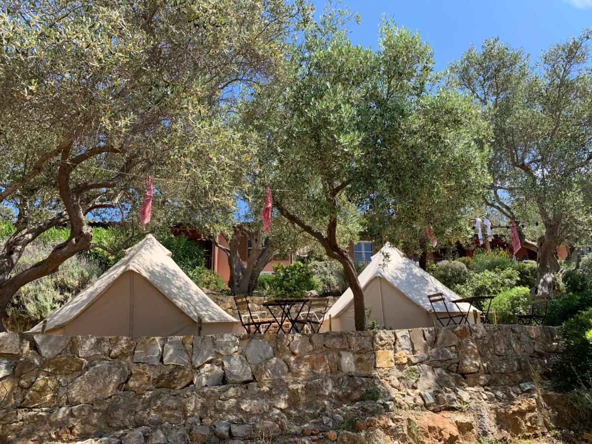 מלון Pigna Felice טלאמונה מראה חיצוני תמונה