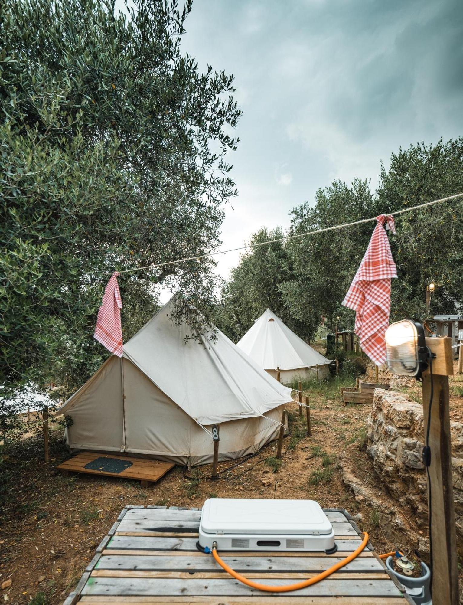מלון Pigna Felice טלאמונה מראה חיצוני תמונה
